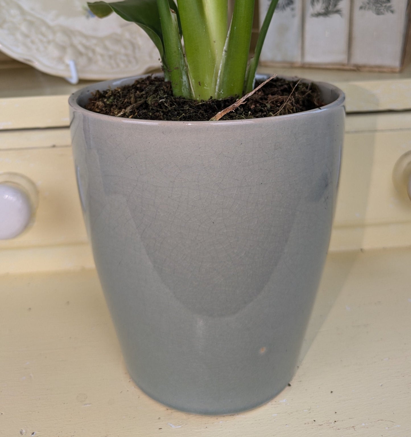 close up of of grey crackleglaze on 12 cm pot