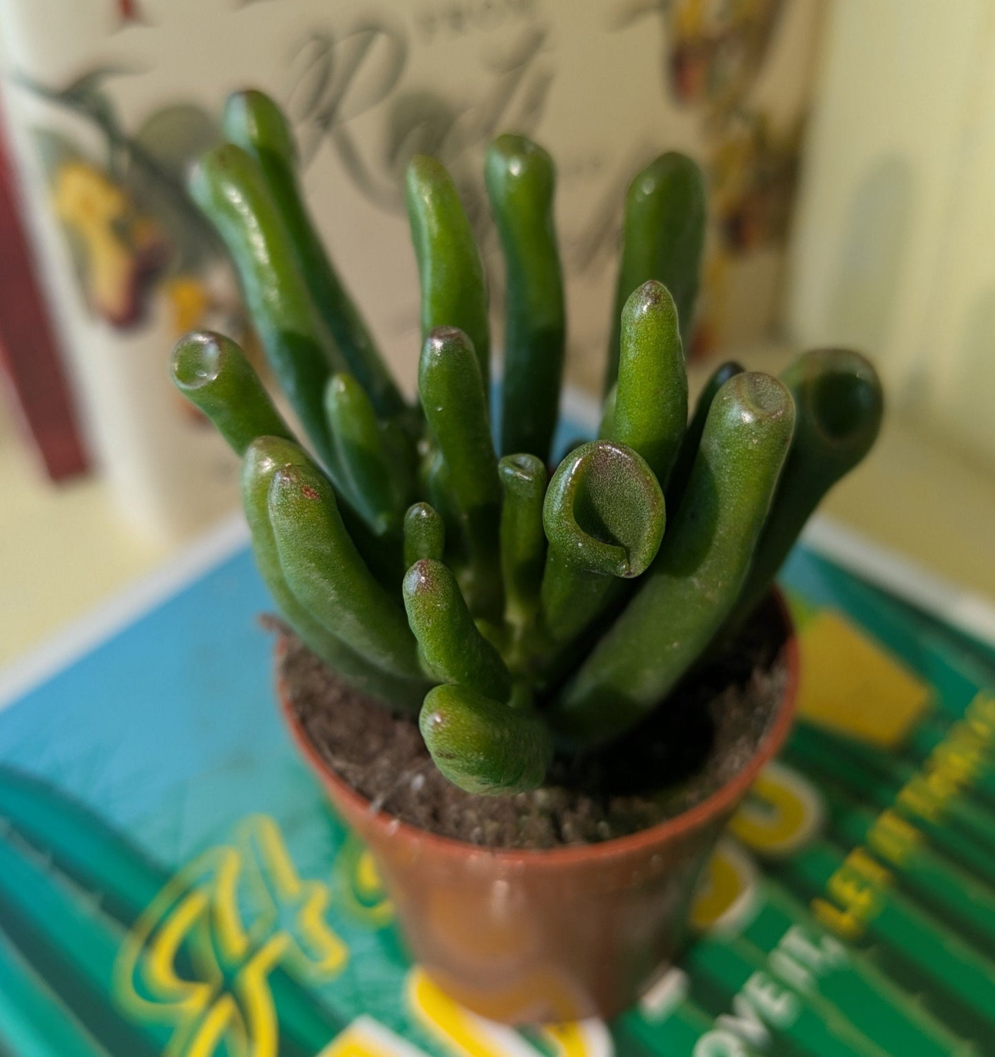 upright green stems resembling hobbits fingers