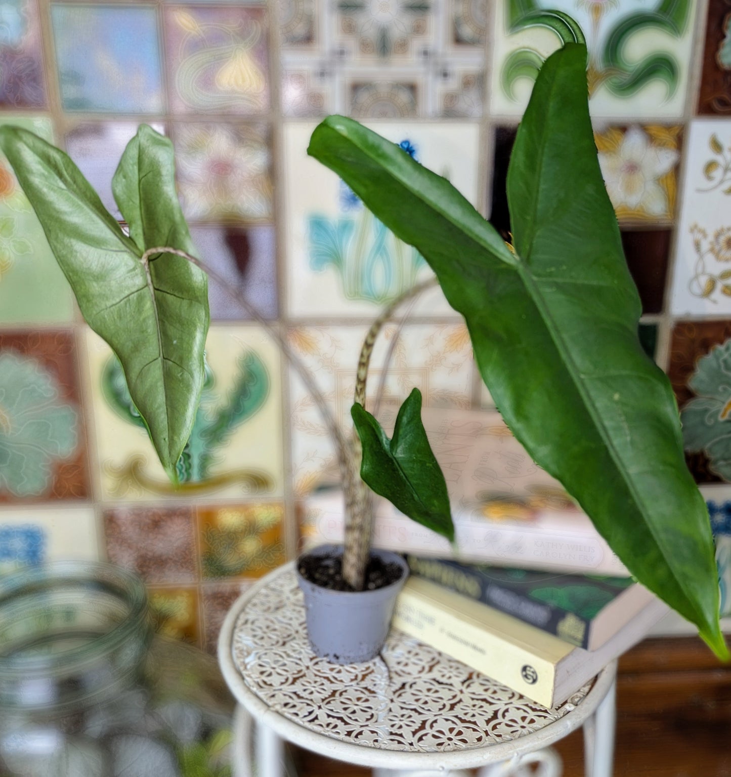 Potted plant on a decorative stand with a colorful tiled wall in the background