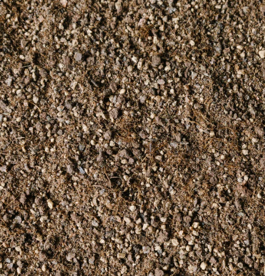 Soil Ninja Premium Cacti & Succulent Blend 5L