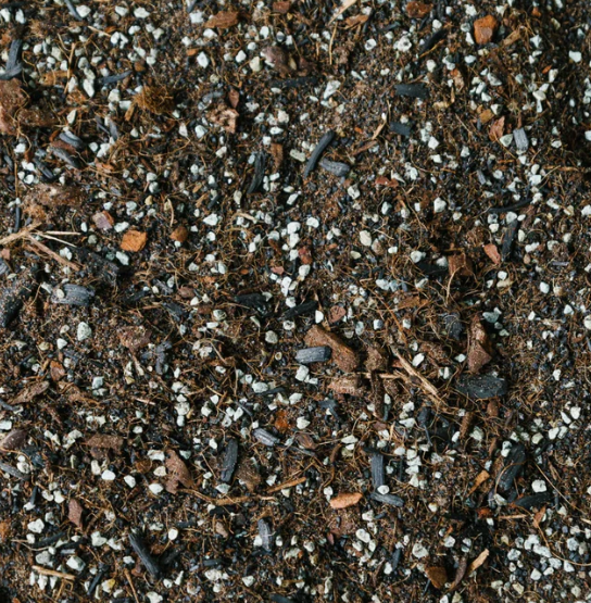 Soil Ninja Premium Terrarium Blend 5L