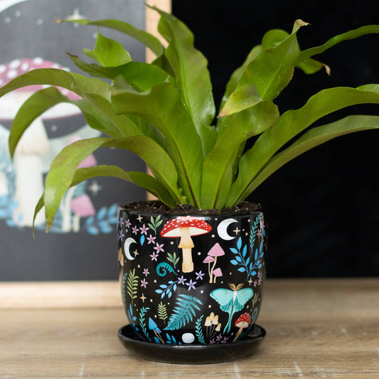 Dark Forest Print Ceramic Plant Pot with Saucer - Fits 8 cm nursery pot