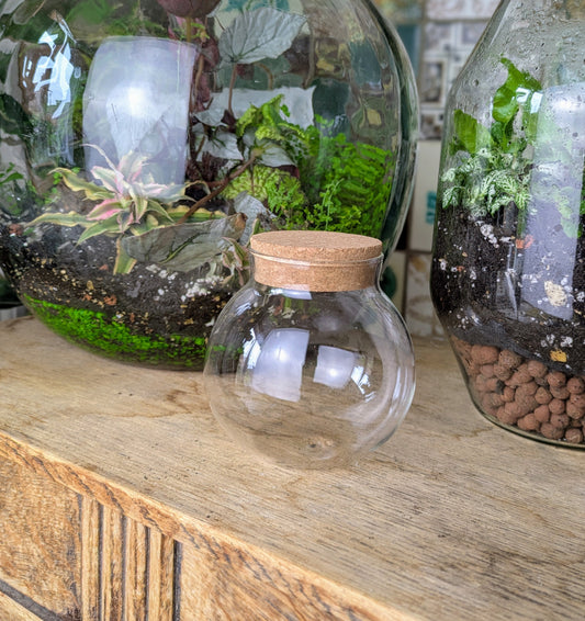 Glass Terrarium with Cork Lid