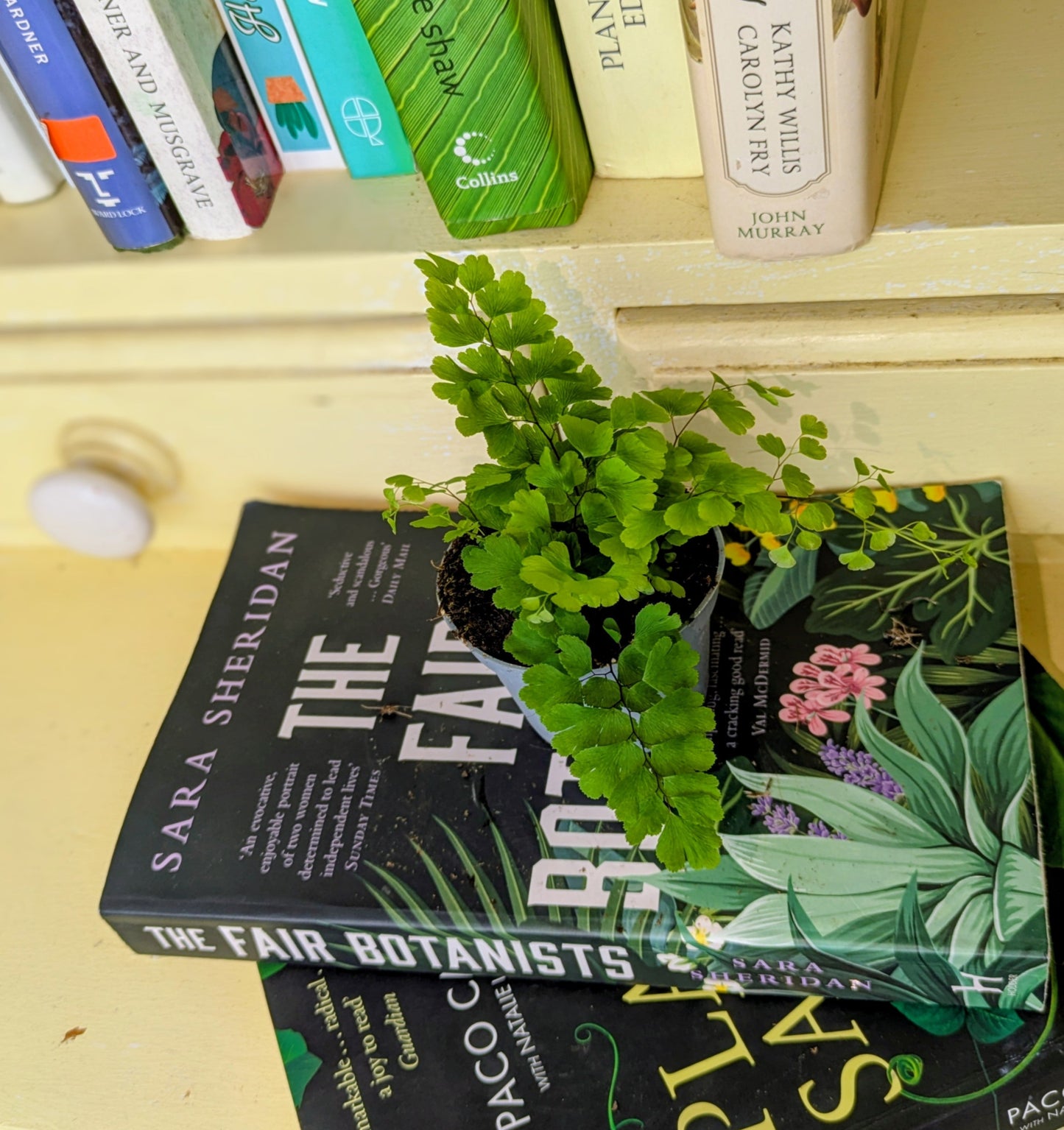 Stack of books with a small potted plant on top, placed on a shelf.