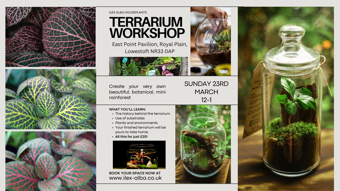 Terrarium Making Workshop