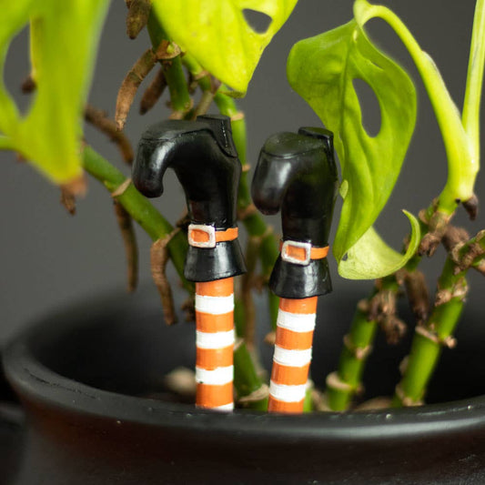 Two plant pot ornaments designed to resemble witch's legs with orange and white striped socks and black boots, placed inside a plant pot with green foliage.