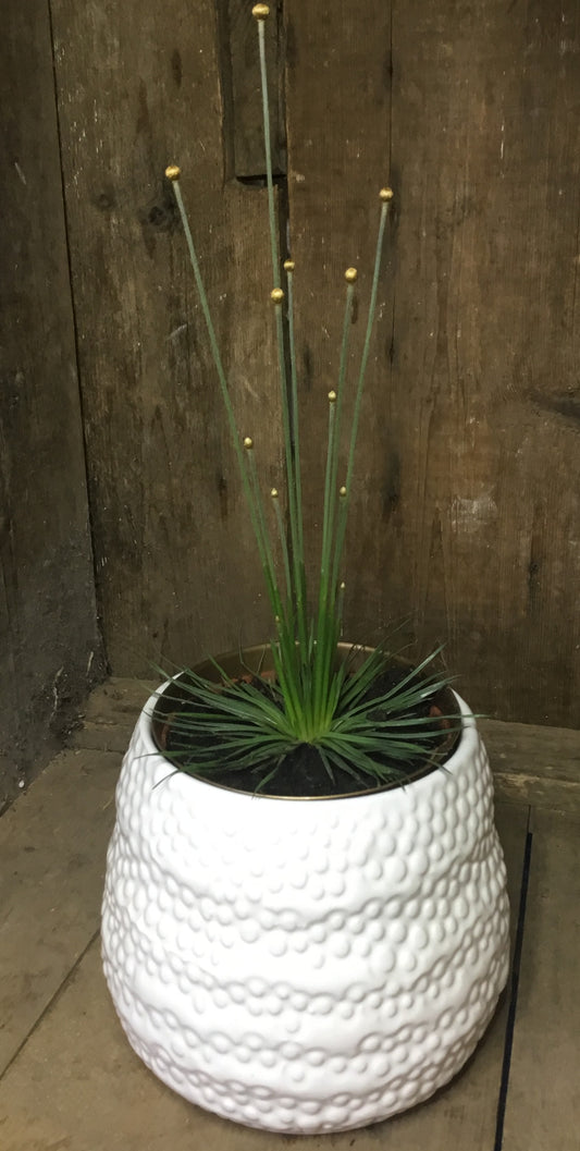 White ceramic 9 cm pot