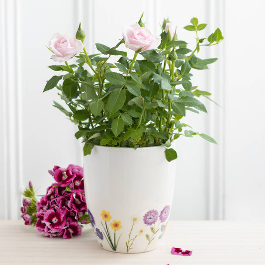 Ceramic  Plant Pot-Wildflower Floral Fits 8 cm nursery pot