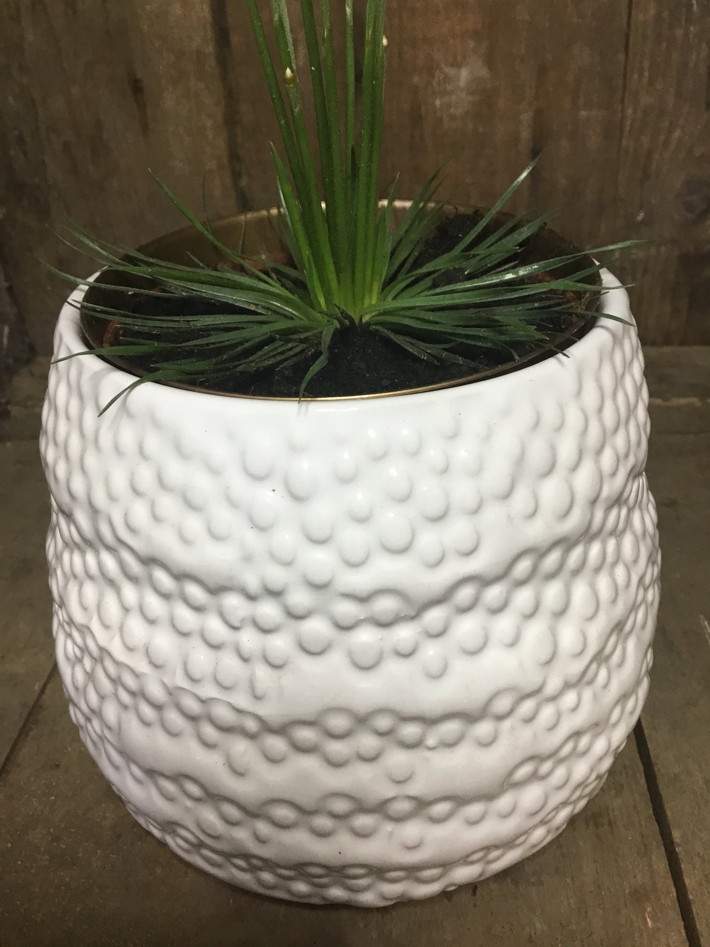 White ceramic 9 cm pot